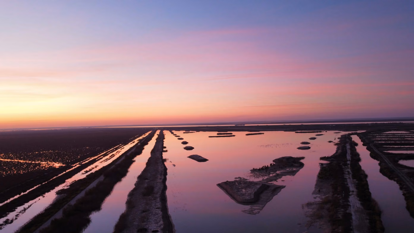 Atardecer rosa sobre los esteros del Guadalquivir