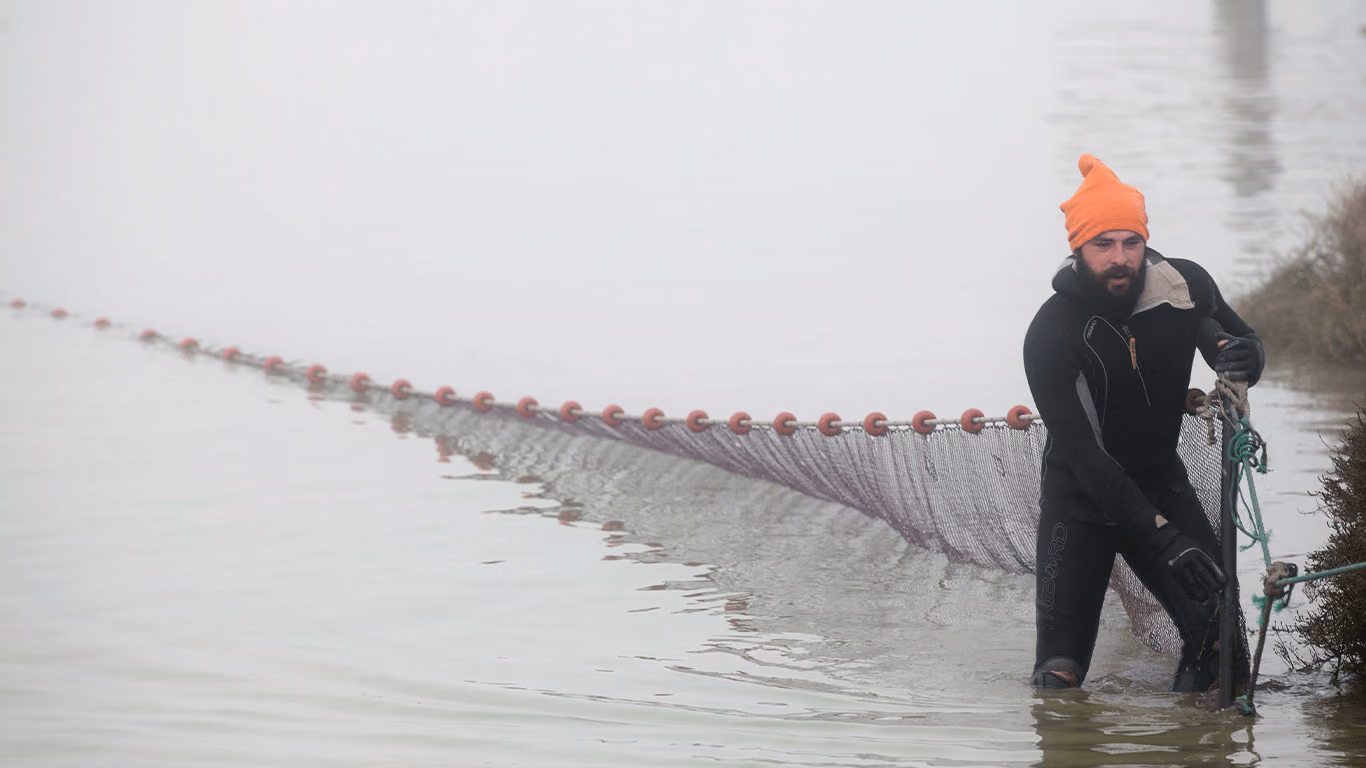 Un pescador con traje de neopreno tira de la red en el agua del estero, entre la niebla