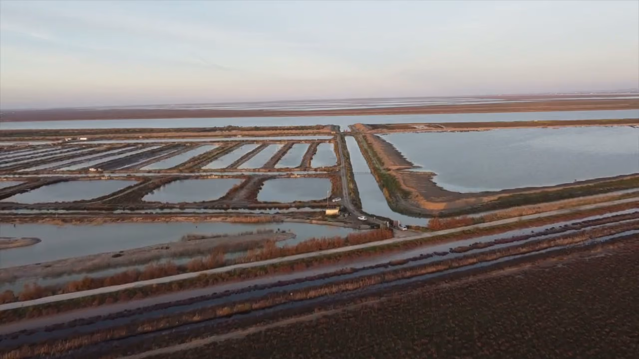 Los esteros del Guadalquivir desde el aire, con sus balsas de agua