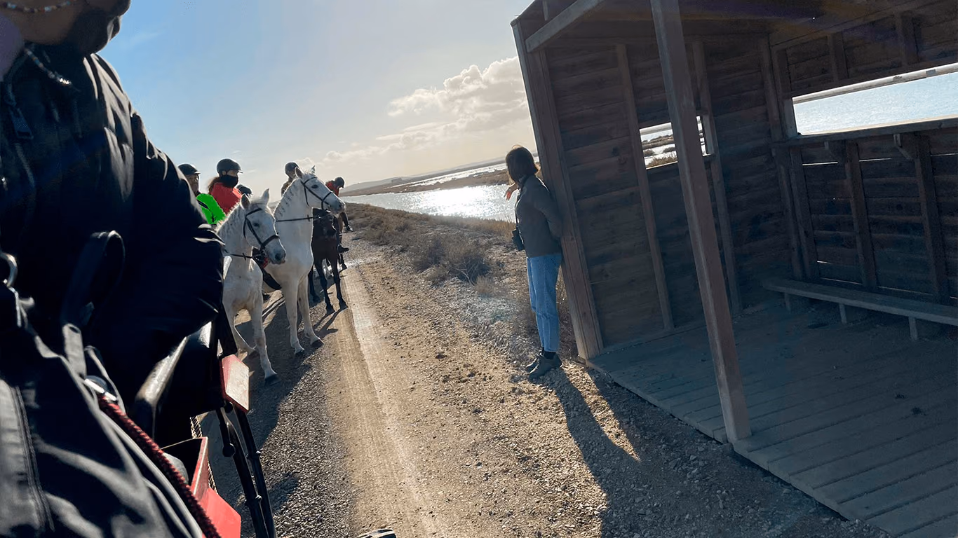 Paseo a caballo junto a un observatorio de madera en la marisma