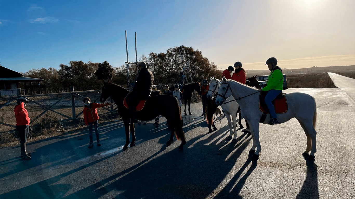 Jinetes a caballo con el sol de la tarde junto a la marisma