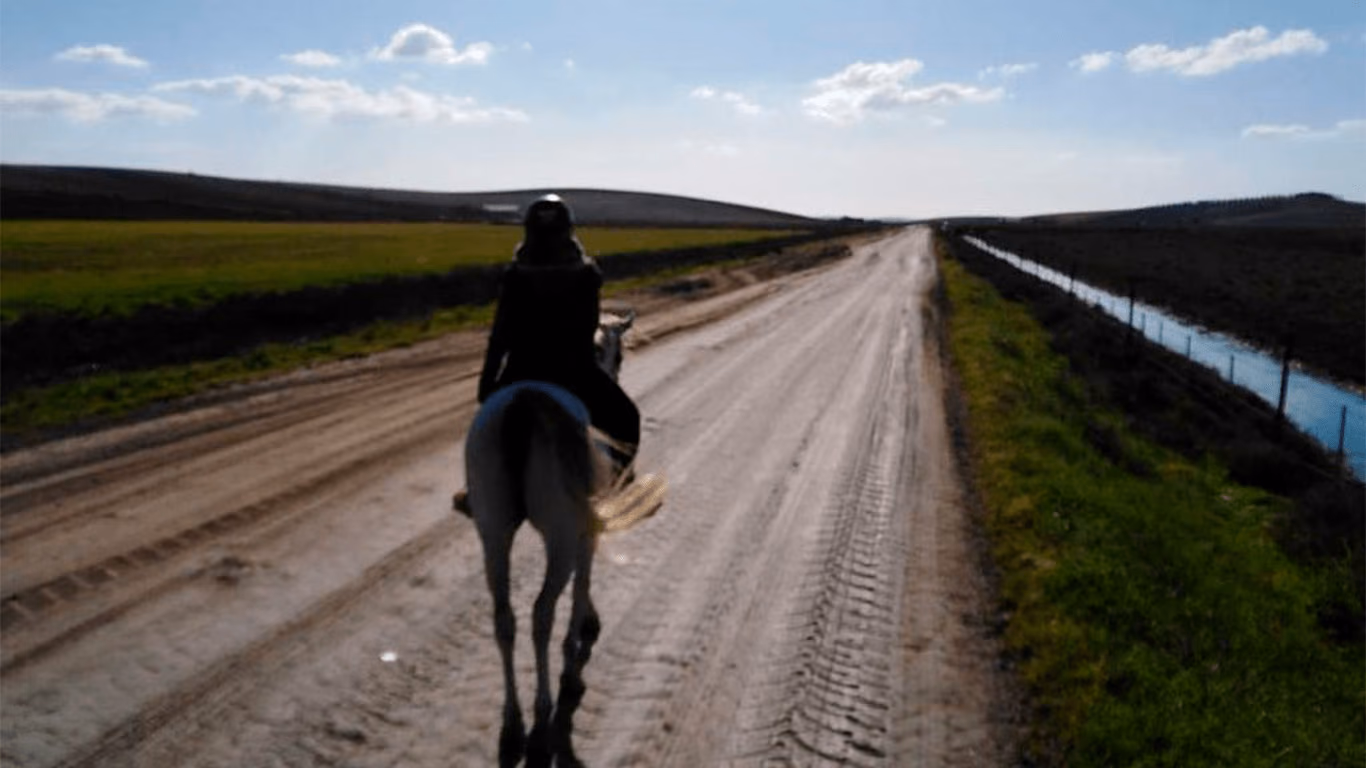 Un jinete avanza por un camino recto entre los campos de la marisma